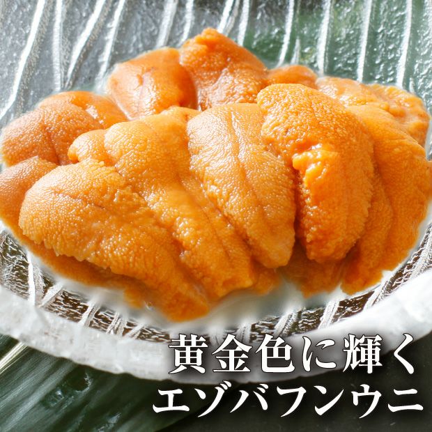 塩水うに80gエゾバフンウニ｜釧路 マル北水産 水産｜食べレア北海道