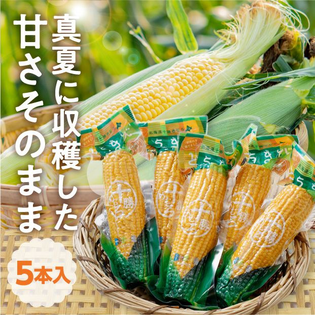 レトルトコーン5本入り｜JAめむろ 芽室町 ｜トウモロコシ｜お取り寄せ