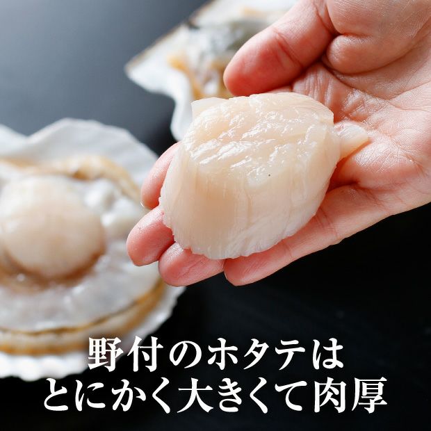 野付産天然ジャンボ活ほたて5㎏（野付産）｜北海道 根室 お取り寄せ
