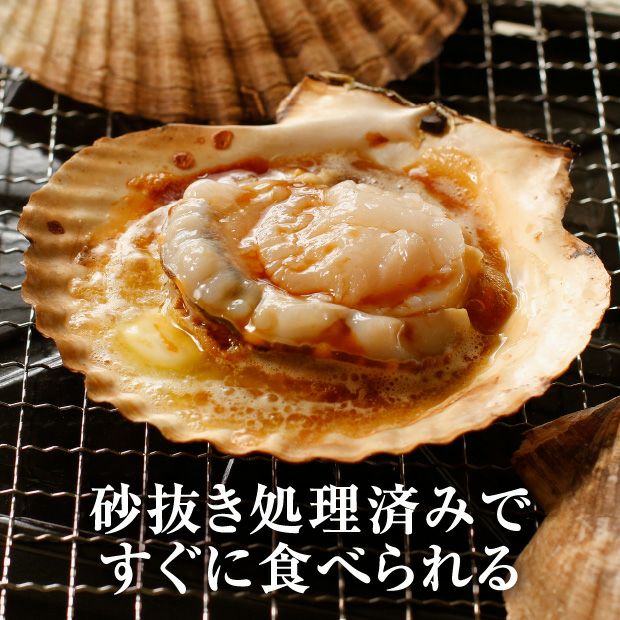 野付産天然ジャンボ活ほたて5㎏（野付産）｜北海道 根室 お取り寄せ