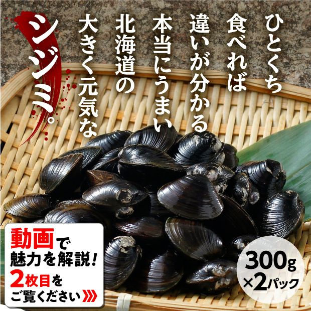 シジミ(Lサイズ)