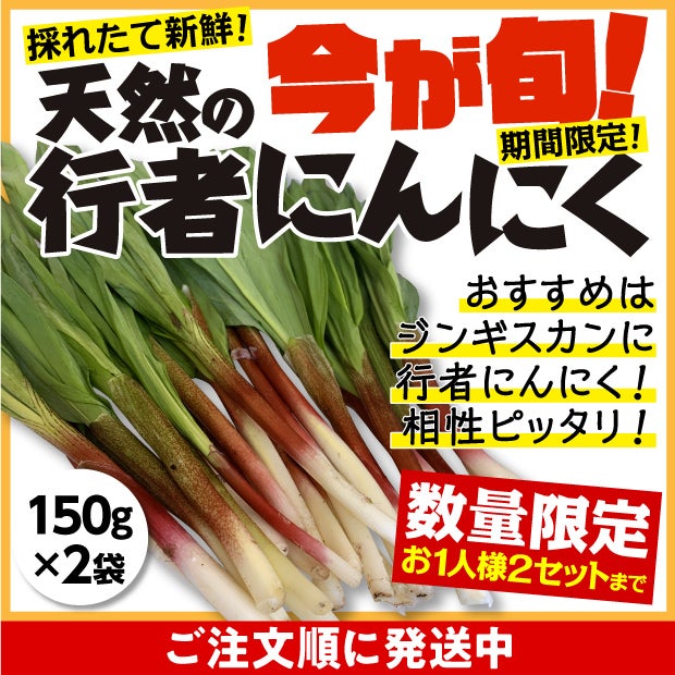 山採り行者にんにく（天然）