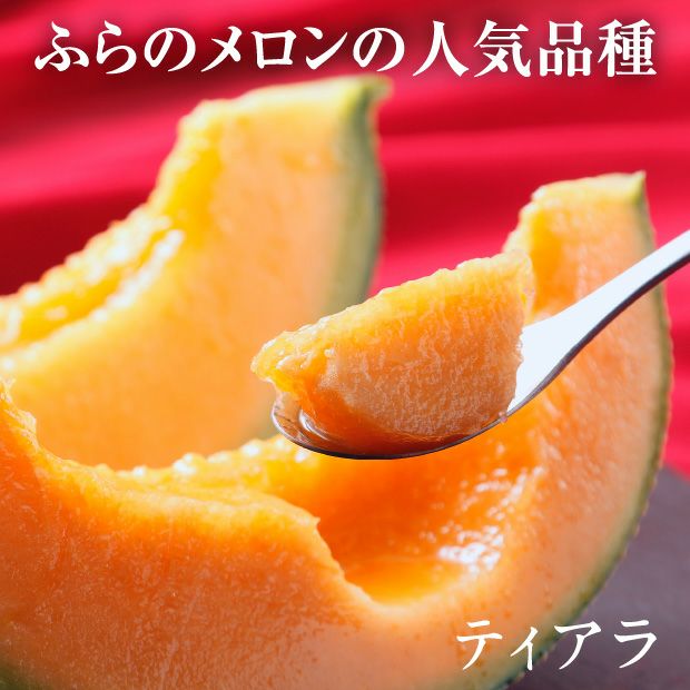 ふらのメロン「涼の佳」2種2玉｜食べ比べ 赤肉｜お取り寄せ 食べレア北海道