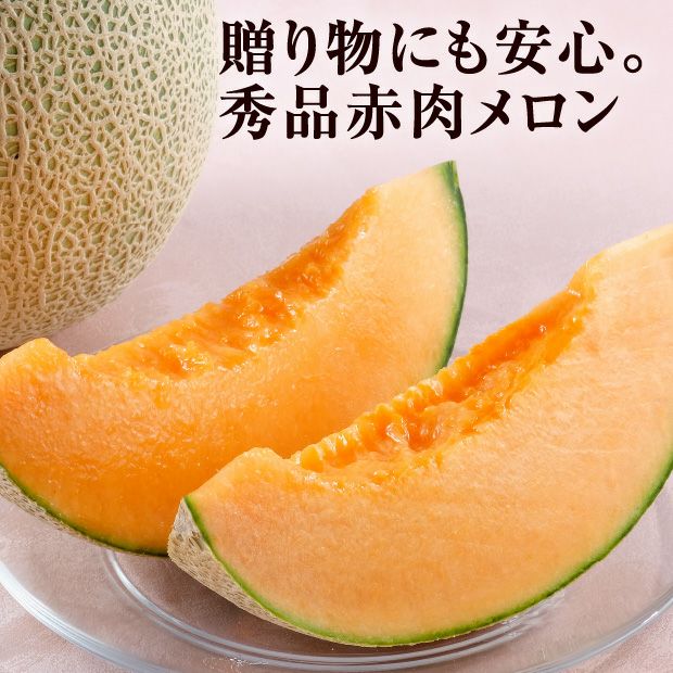 ティアラ秀品約1.6㎏2玉｜清水農園｜富良野メロン お取り寄せ 物産