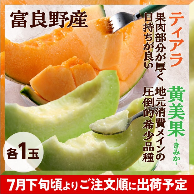 2種のふらのメロン（ティアラ/黄美香）秀品各1玉