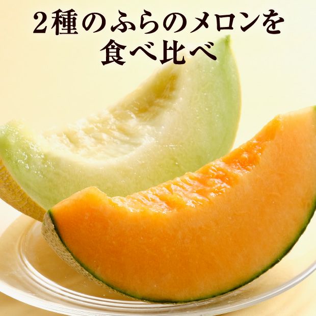 2種のふらのメロン（ティアラ/黄美香）｜清水農園｜富良野メロン お