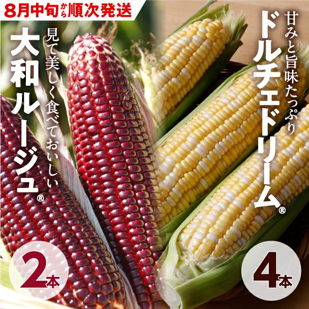 ドルチェドリーム＆大和ルージュセット 6本