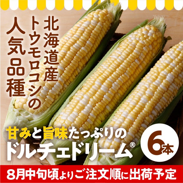 けんぶち産　ドルチェドリーム6本