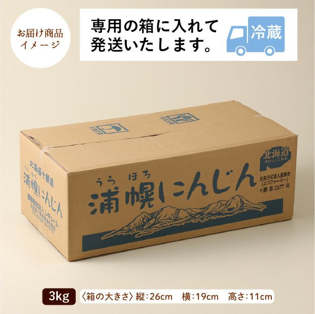 十勝産 ニンジン 3kg｜野菜｜食べレア北海道 物産 お取り寄せ