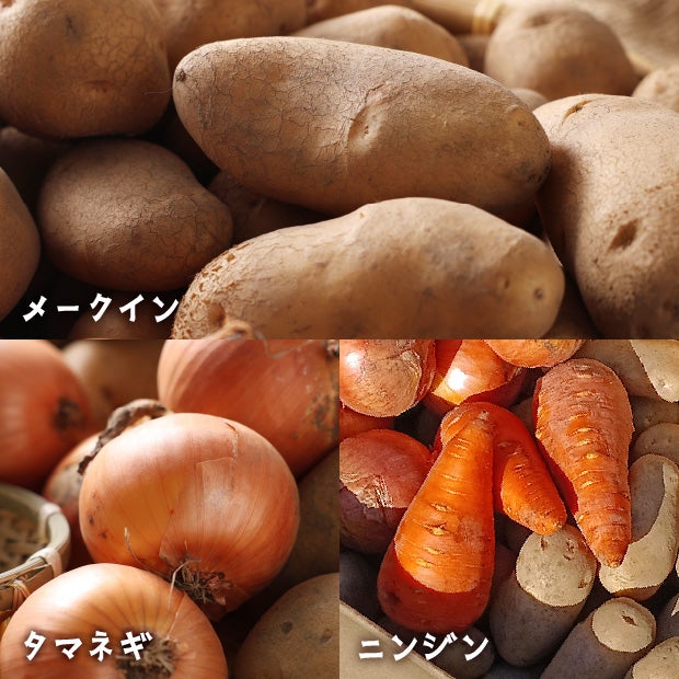 秋の収穫野菜セット