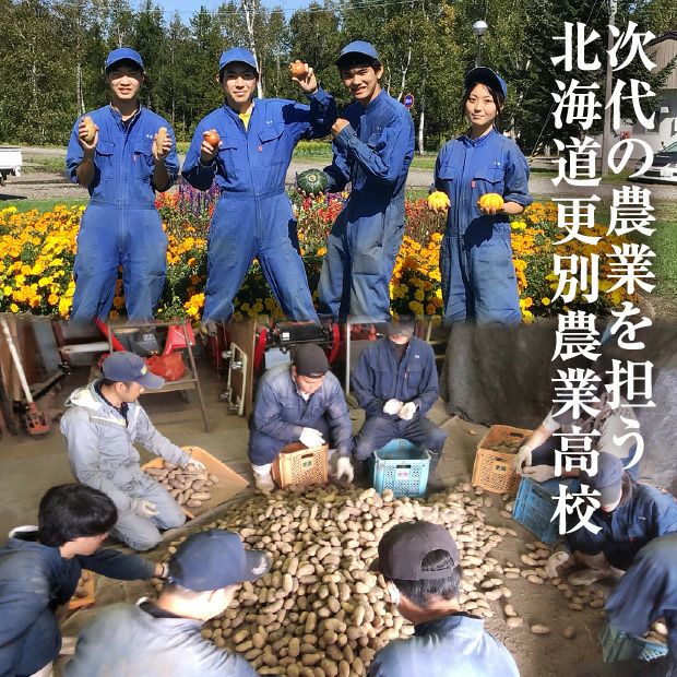 さらのう 秋の収穫野菜セット｜農産物 野菜 高校生｜食べレア北海道