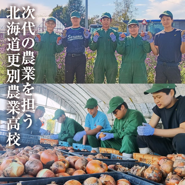 秋の収穫野菜セット