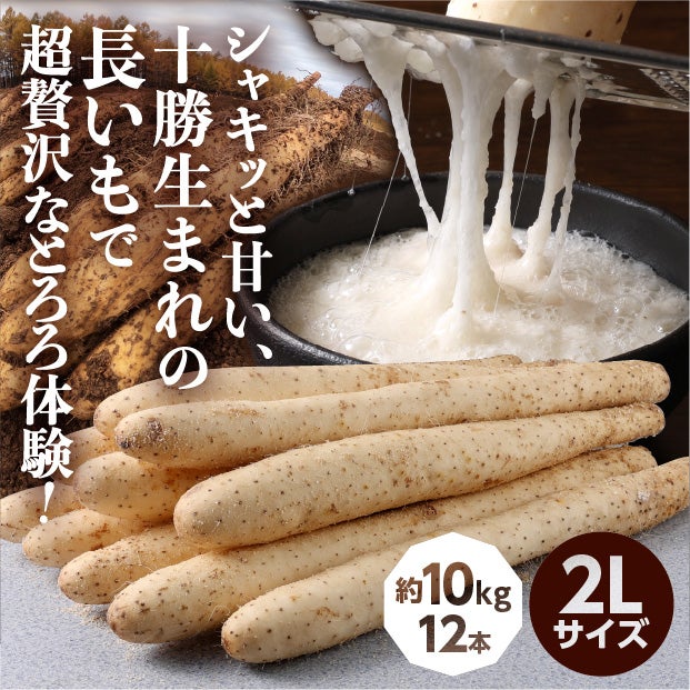 大正長いも2Lサイズ10㎏｜農産｜長イモ｜食べレア北海道 物産 お取り寄せ