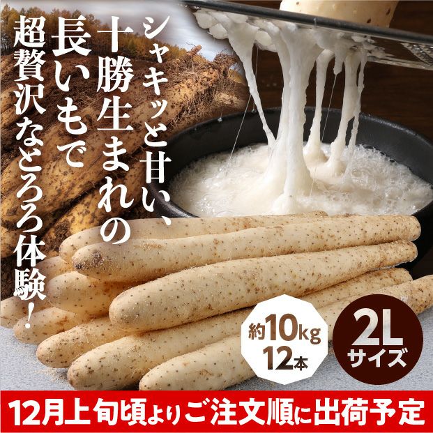 大正ながいも 2Lサイズ 10kg