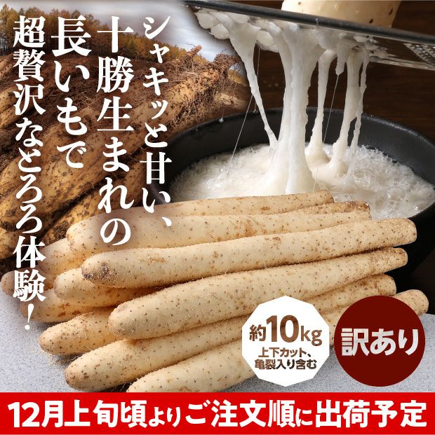 大正ながいも 訳あり 10kg