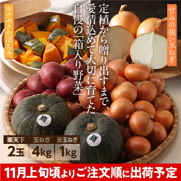 かぼちゃ栗天下と2種の玉ねぎ