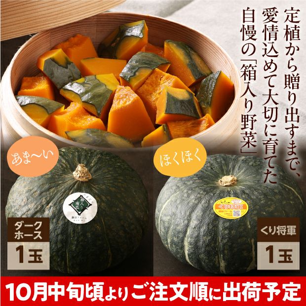 秋のプレミアムかぼちゃセット