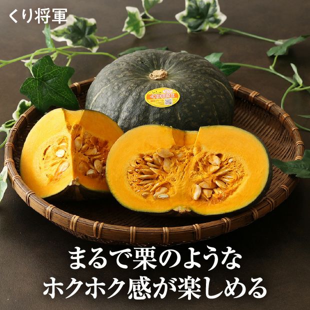 富良野産 秋のプレミアムかぼちゃセット｜農産｜かぼちゃ｜食べレア