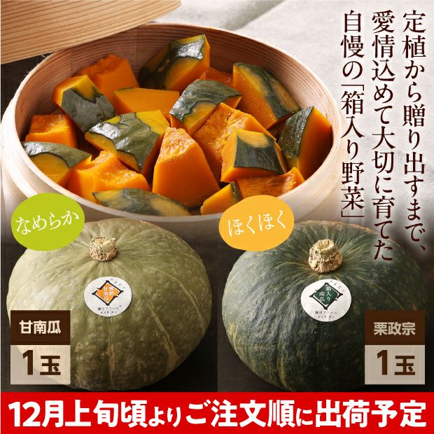 ご予約済み…カボチャとブリザーブド 000000004489-01.jpg?size=m&w=