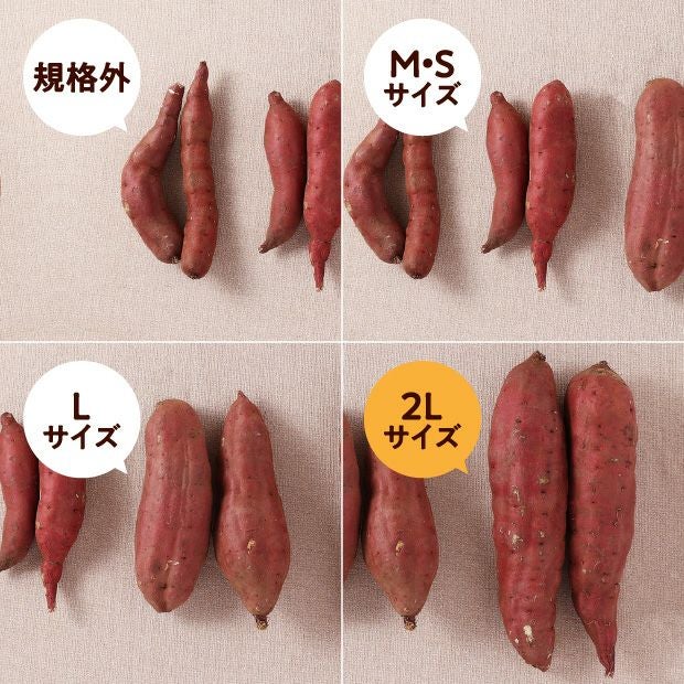 由栗（ゆっくり）いも 5㎏（2L）｜農産物 さつまいも ベジタボ｜食べ