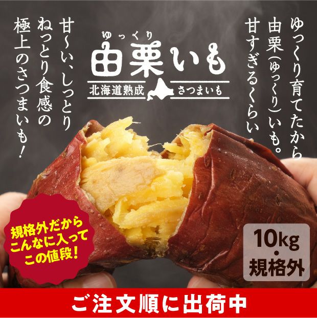 訳あり由栗（ゆっくり）いも 10㎏（サイズ混）