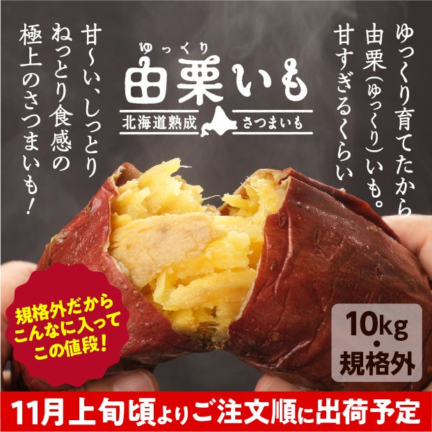 訳あり由栗（ゆっくり）いも 10㎏（サイズ混）