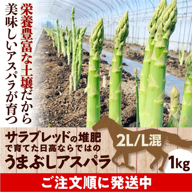 日高産 うまぶしアスパラ　2L/L混　1㎏