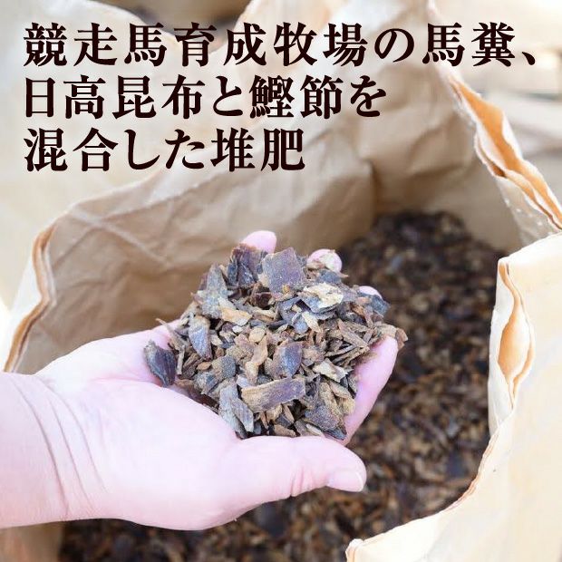 うまぶしアスパラ　2L/L混　1㎏