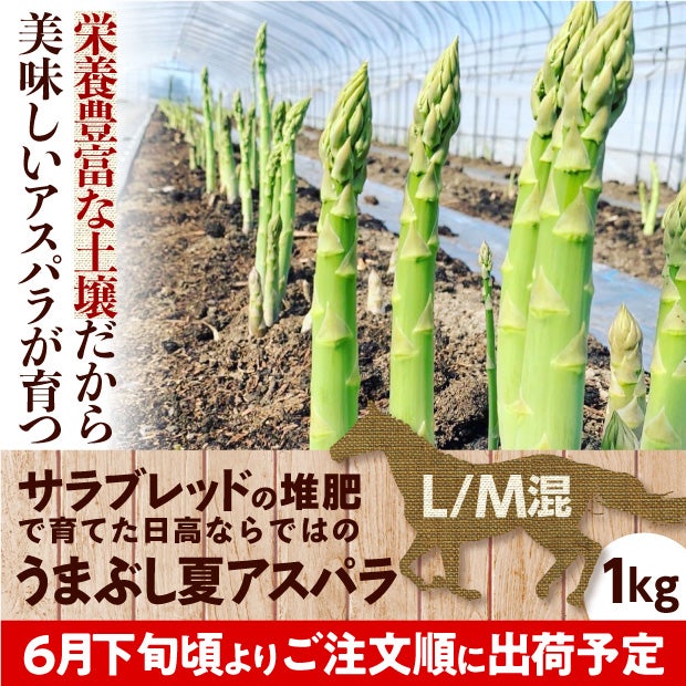 うまぶし夏アスパラ　L/M混　1㎏
