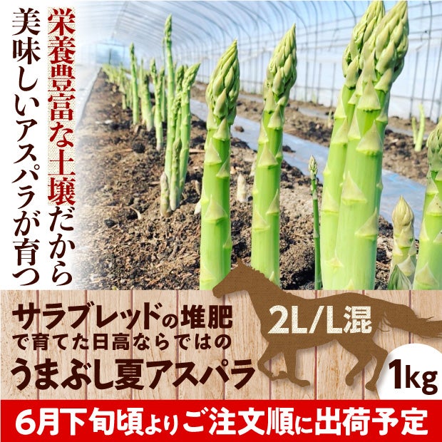 うまぶし夏アスパラ　2L/L混　1㎏