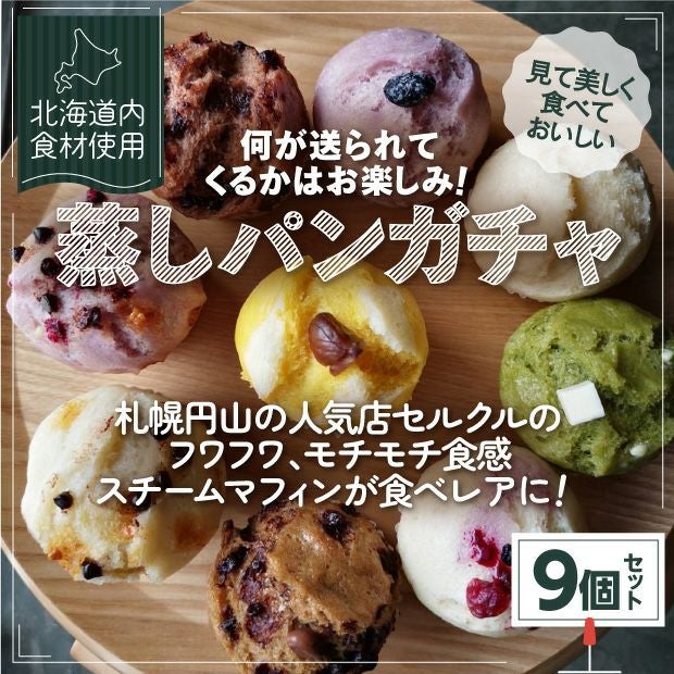 スチマ　おまかせ9個セット