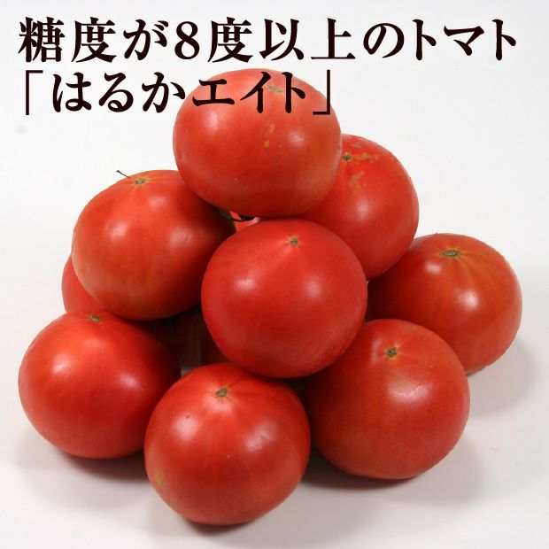 フルーツトマト（はるかエイト）