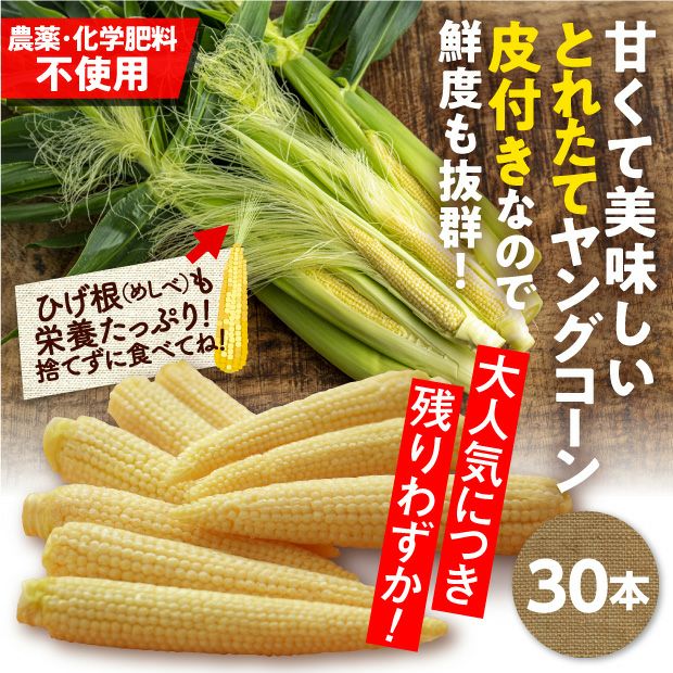 皮付きヤングコーン