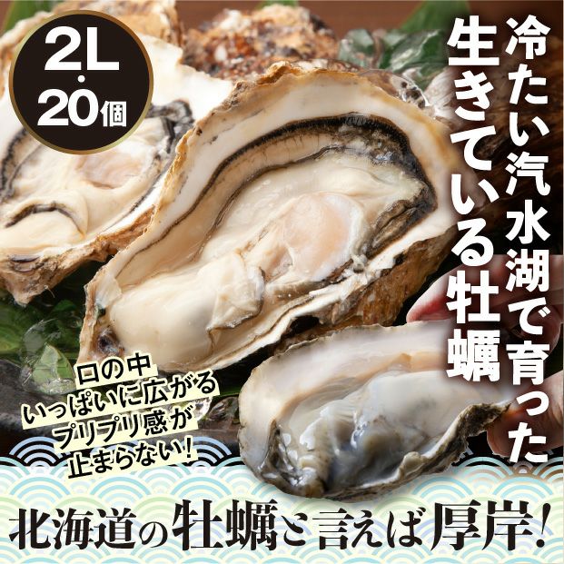 厚岸産　殻付き生牡蠣