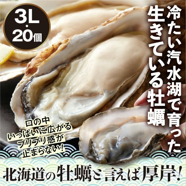 厚岸産　殻付き生牡蠣