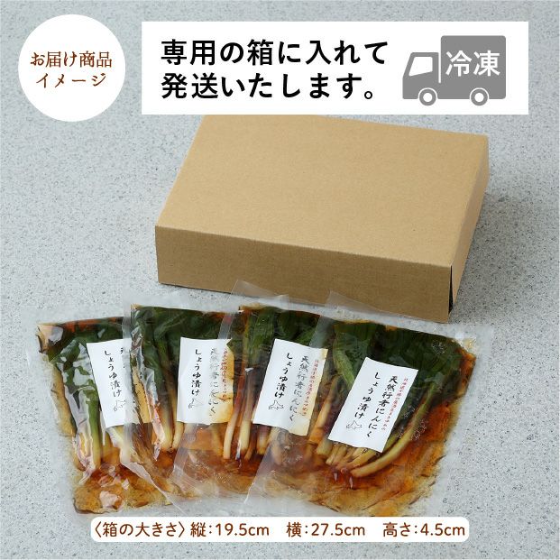 まさパパ！北海道産天然行者ニンニク4kg 天然行者にんにくしょうゆ漬け4P｜山菜｜天然 行者にんにく 十勝｜食べ