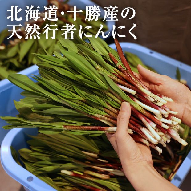 天然行者にんにくしょうゆ漬け2P｜山菜｜天然 行者にんにく 十勝｜食べ