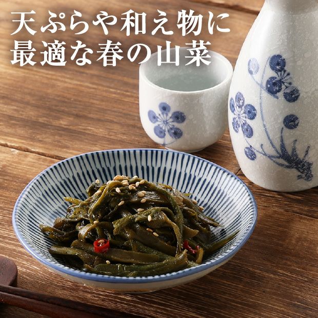 天然山うど3本×1パック|山菜|天然 山うど 北海山 十勝|食べ 天然山うど3本×1パック|山菜|天然 山うど 北海山 十勝|食べ