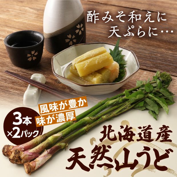 天然山うど3本×2パック｜山菜｜天然 山うど 北海山 十勝｜食べレア