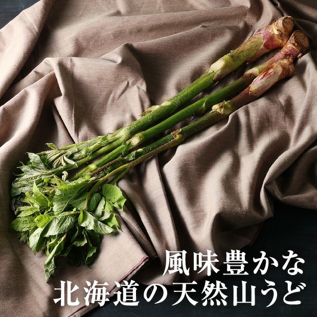 天然山うど3本×2パック｜山菜｜天然 山うど 北海山 十勝｜食べレア