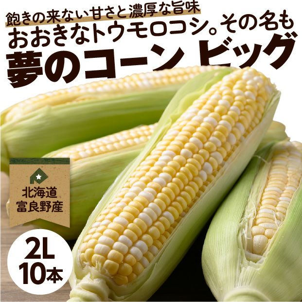 とうもろこし/B×2 富良野産ゆめのコーンビッグ（2L）10本｜及川ファーム｜トウモロコシ