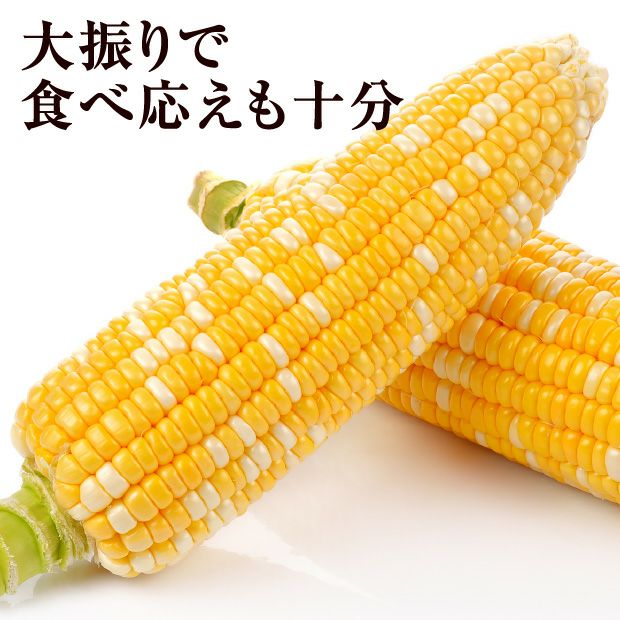 富良野産ゆめのコーンビッグ（2L）10本｜及川ファーム｜トウモロコシ