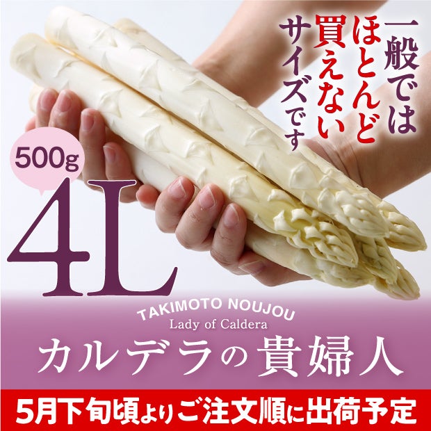ホワイトアスパラ4L 500g