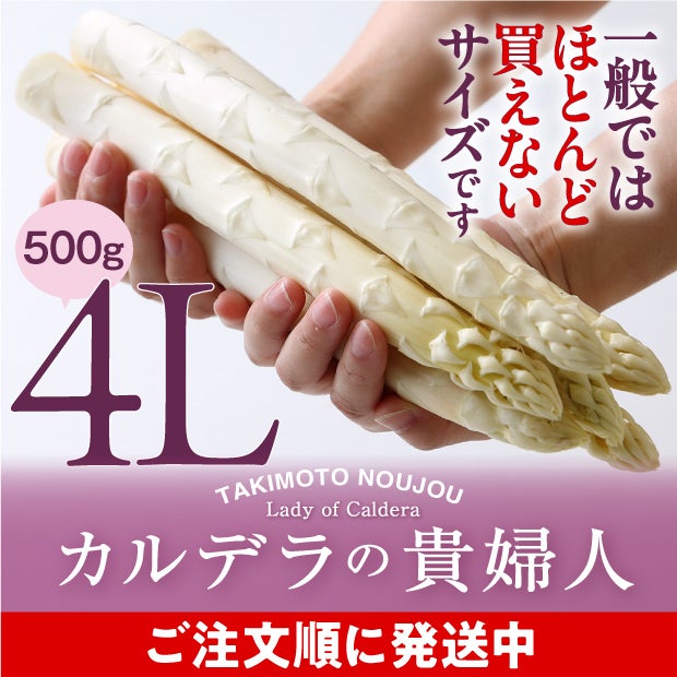 ホワイトアスパラ4L 500g