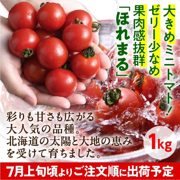士別産 特別栽培ミニトマト（カラフルミックス） 1㎏｜やぶかわ農園
