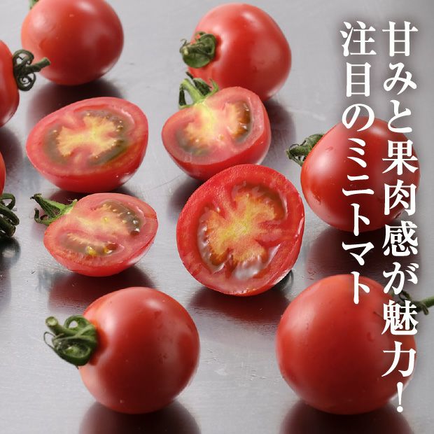 士別産 特別栽培ミニトマト（ほれまる） 1㎏｜やぶかわ農園｜野菜 農産