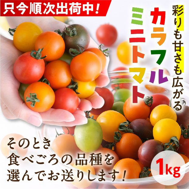 トマト ミックスチェリートマトの種 - マルシェ青空