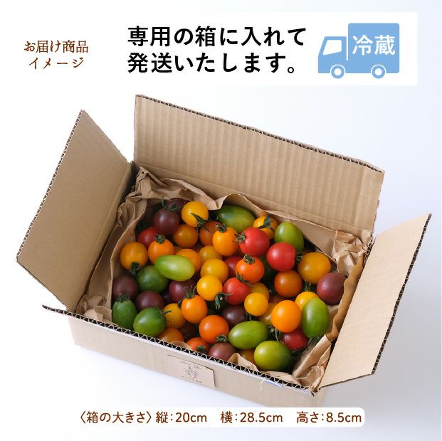士別産 特別栽培ミニトマト（カラフルミックス） 1㎏｜やぶかわ農園