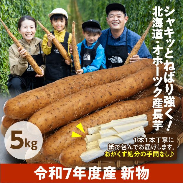 網走産 長いも 5kg