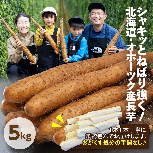 網走産 長いも 5kg